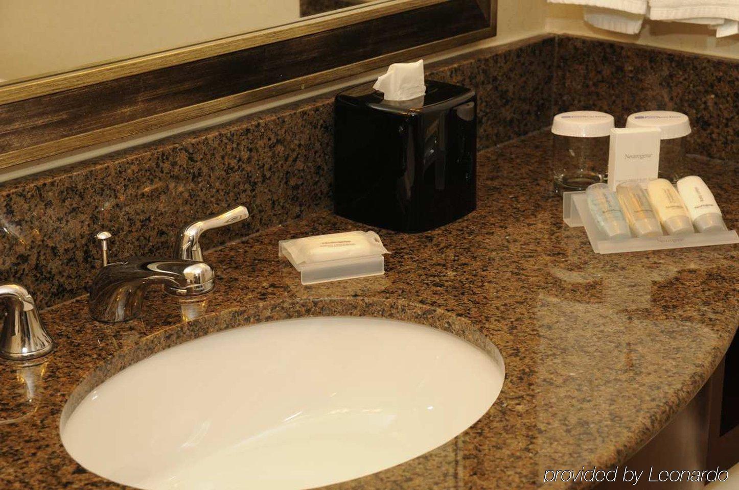 Hilton Garden Inn New Braunfels Rom bilde